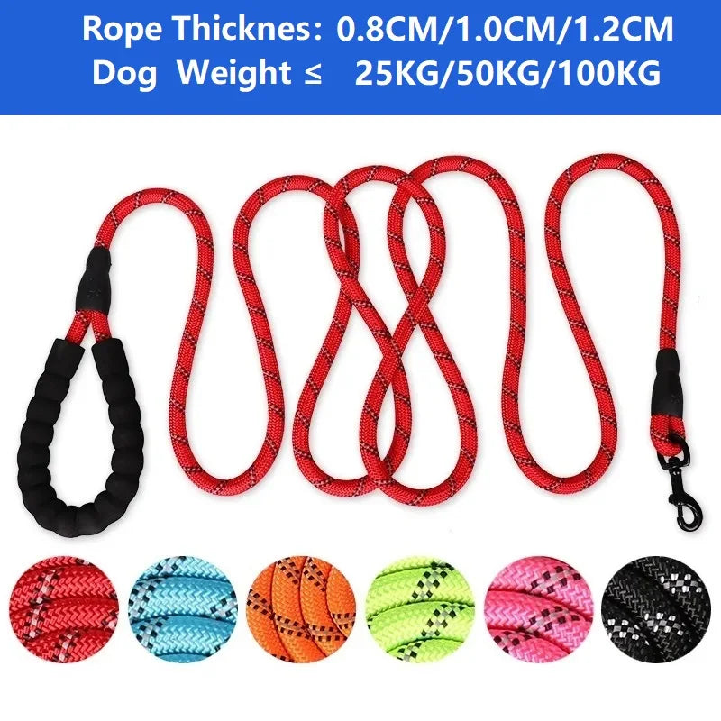 Extra Stabile Hundeleine mit Weichem Griff – 120/150/200/300 cm, Perfekt für Starke Hunde, Komfortabel & Sicher