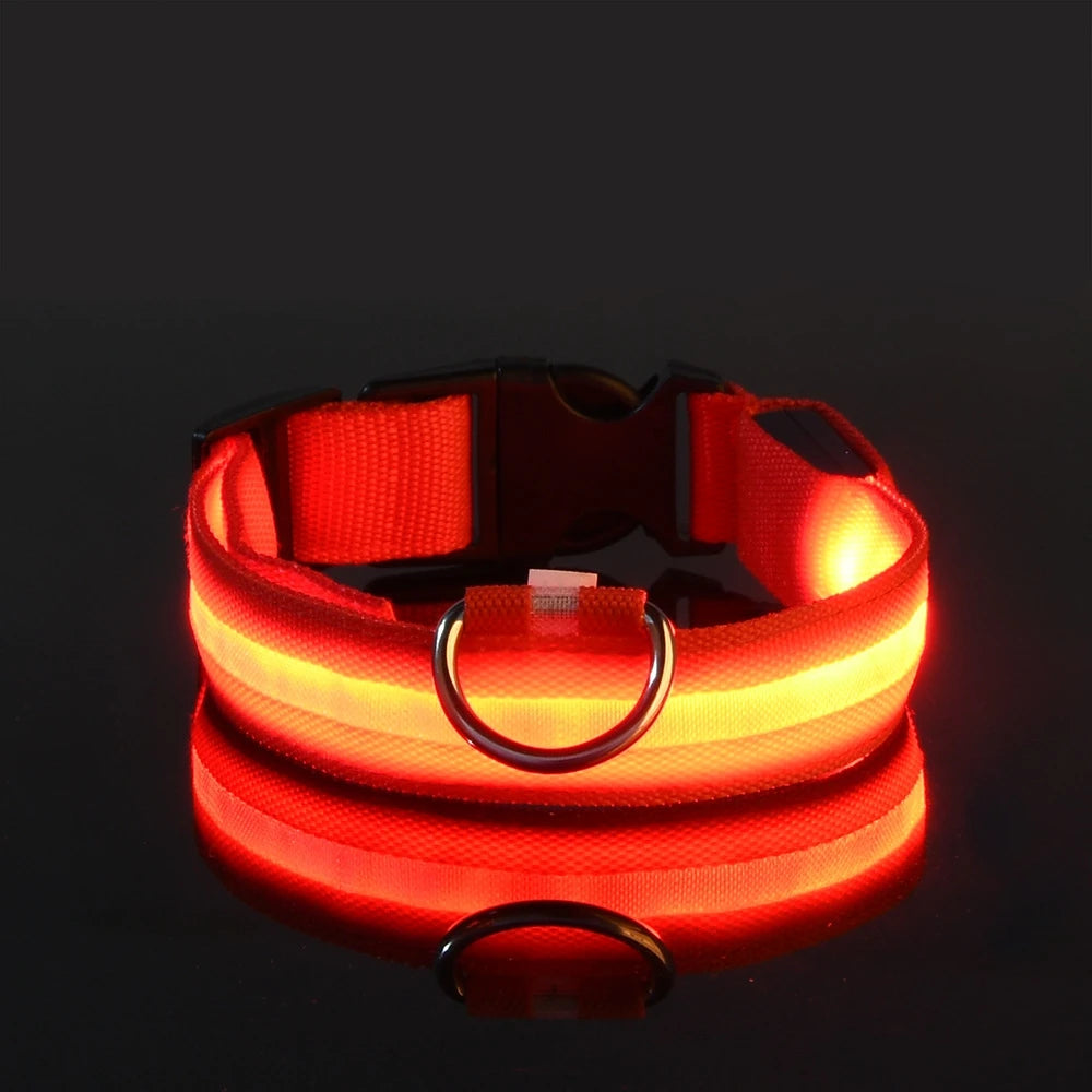 Nylon LED Hundehalsband – Fluoreszierende Leine für mehr Sicherheit bei Dunkelheit, ideal für nächtliche Spaziergänge