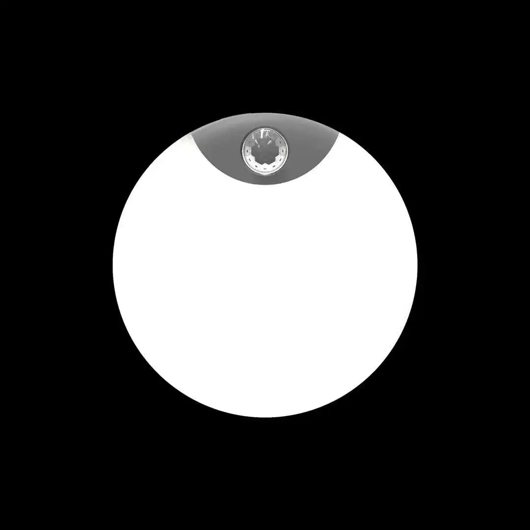 49446473564499