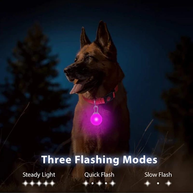 USB-Aufladbares Leucht-Halsband für Hunde & Katzen – Helles LED-Nacht-Sicherheitslicht mit abnehmbarem Anhänger