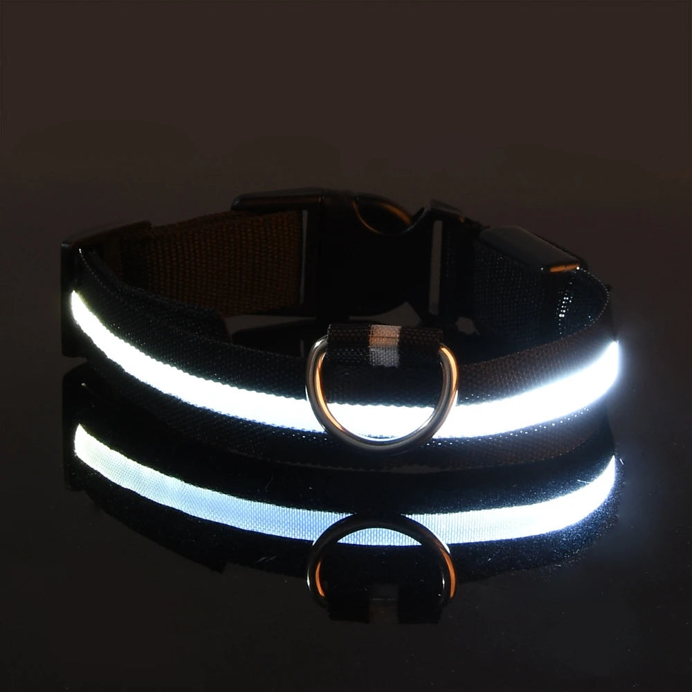 Nylon LED Hundehalsband – Fluoreszierende Leine für mehr Sicherheit bei Dunkelheit, ideal für nächtliche Spaziergänge