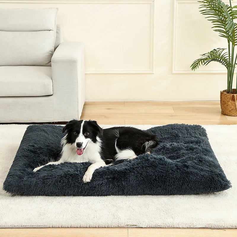 Weiches Hundebett mit extra langem Plüsch – Gemütliches Haustierbett für Hunde & Katzen, ideal für tiefen Schlaf & Geborgenheit