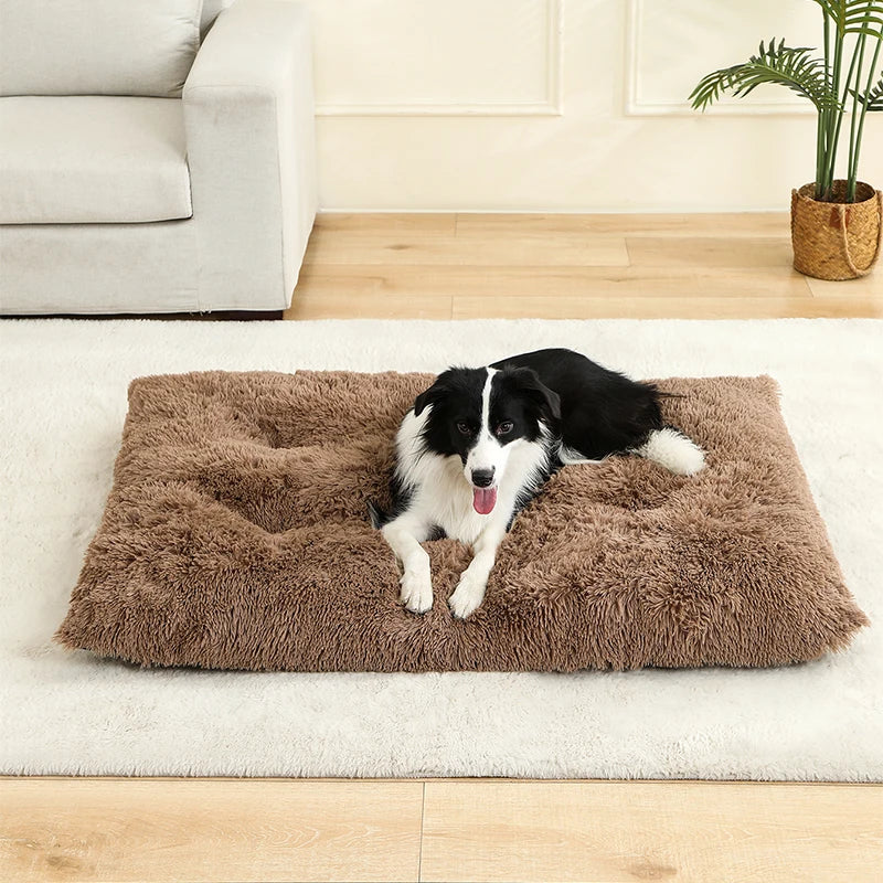 Weiches Hundebett mit extra langem Plüsch – Gemütliches Haustierbett für Hunde & Katzen, ideal für tiefen Schlaf & Geborgenheit