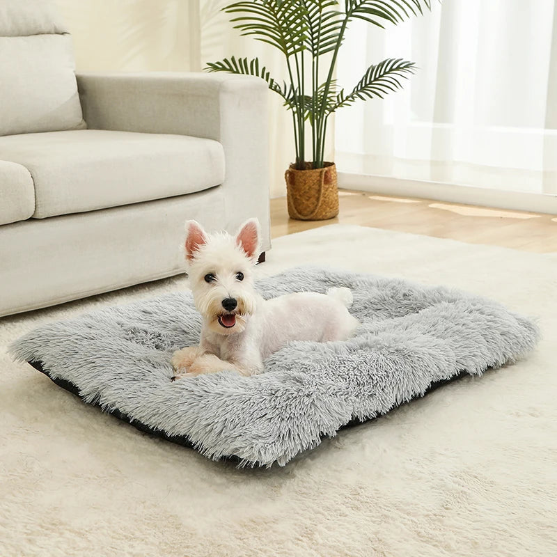 Weiches Hundebett mit extra langem Plüsch – Gemütliches Haustierbett für Hunde & Katzen, ideal für tiefen Schlaf & Geborgenheit