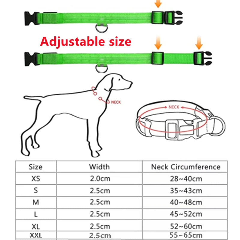 USB-Aufladbares Leucht-Halsband für Hunde & Katzen – Helles LED-Nacht-Sicherheitslicht mit abnehmbarem Anhänger