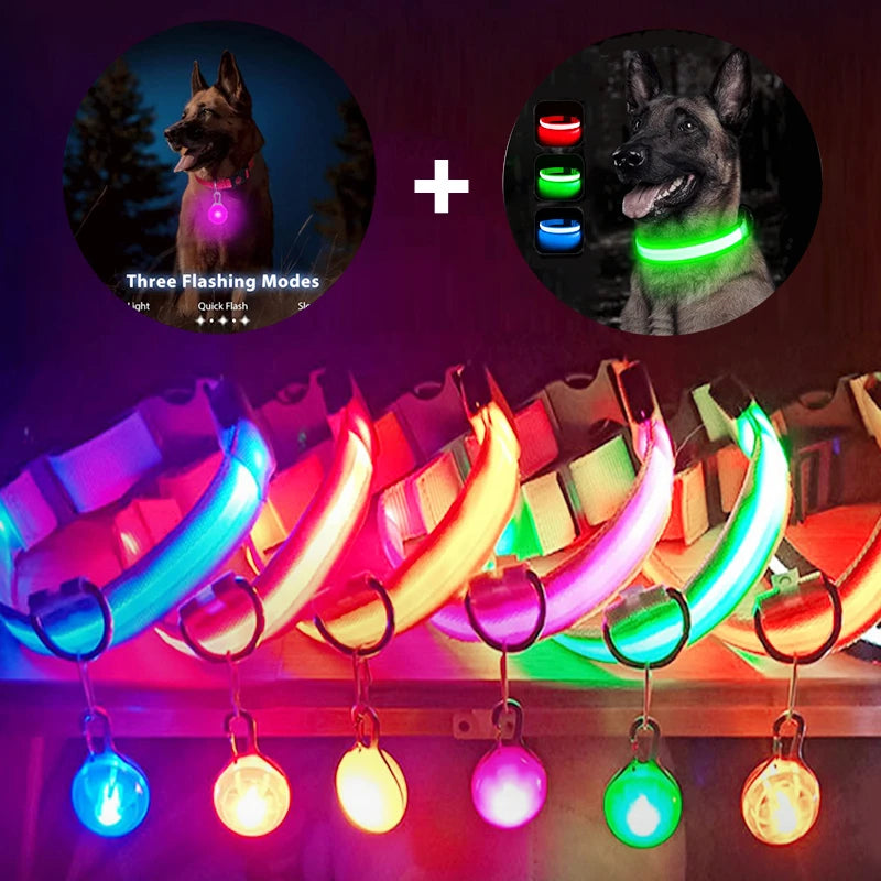USB-Aufladbares Leucht-Halsband für Hunde & Katzen – Helles LED-Nacht-Sicherheitslicht mit abnehmbarem Anhänger