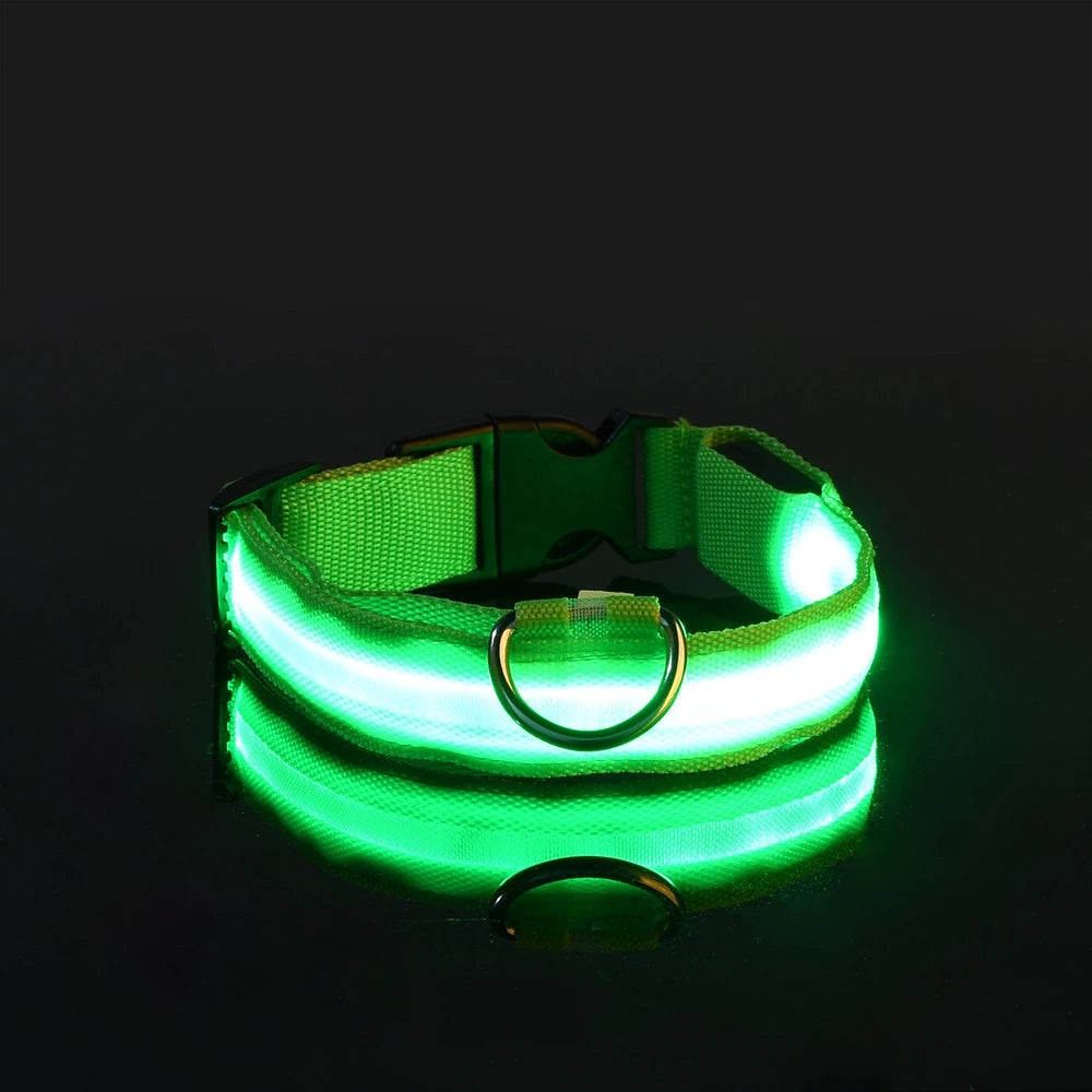 Nylon LED Hundehalsband – Fluoreszierende Leine für mehr Sicherheit bei Dunkelheit, ideal für nächtliche Spaziergänge