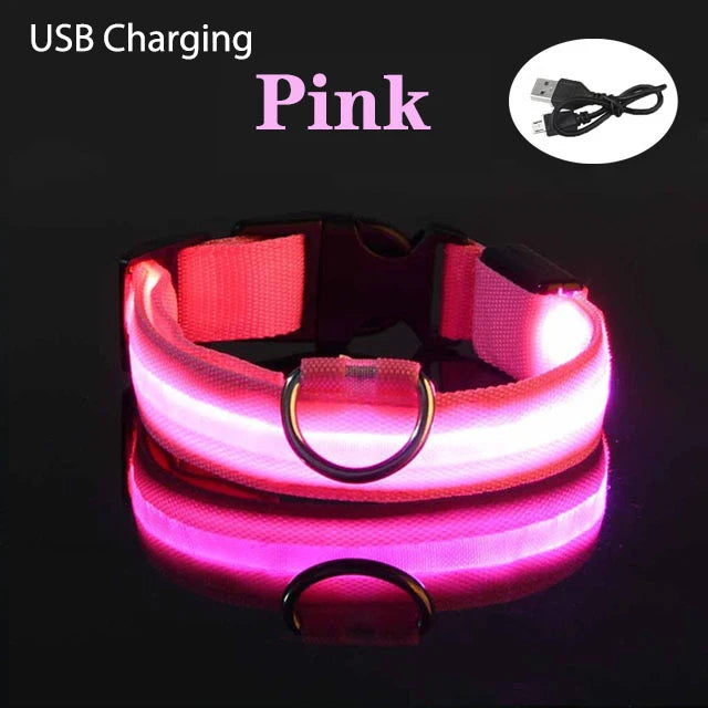 TOUA Choice LED Hundehalsband XS/M – USB Wiederaufladbar, Einstellbar, Mit Sicherheits- und Leuchtfunktion für Nachtspaziergänge