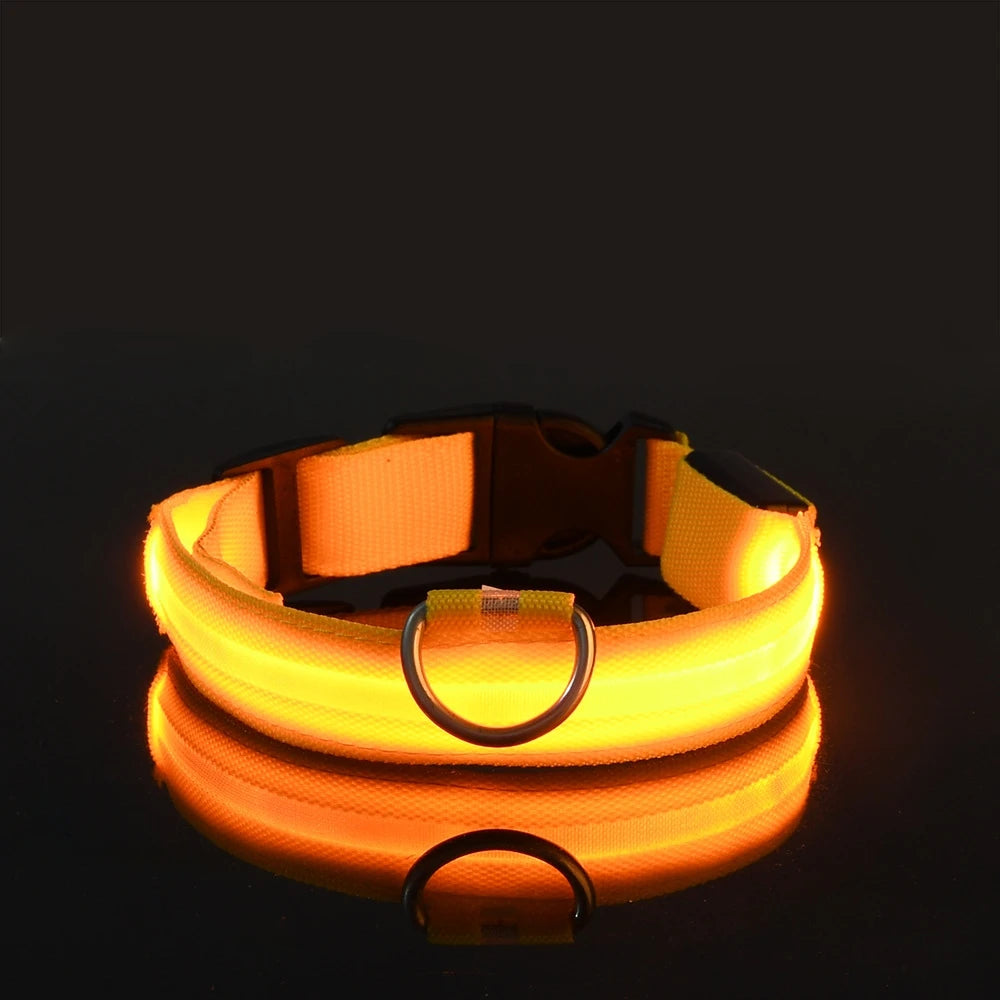 Nylon LED Hundehalsband – Fluoreszierende Leine für mehr Sicherheit bei Dunkelheit, ideal für nächtliche Spaziergänge