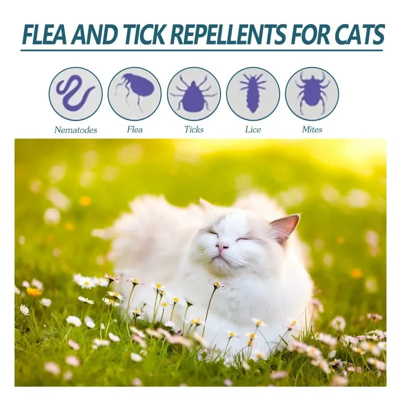 50 ml Haustier-Anti-Floh & Zecken Mittel – Für Katzen & Hunde, Extrakorporale Wurm- und Hautpflege