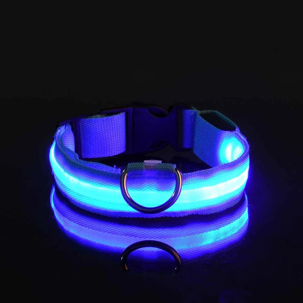 Nylon LED Hundehalsband – Fluoreszierende Leine für mehr Sicherheit bei Dunkelheit, ideal für nächtliche Spaziergänge
