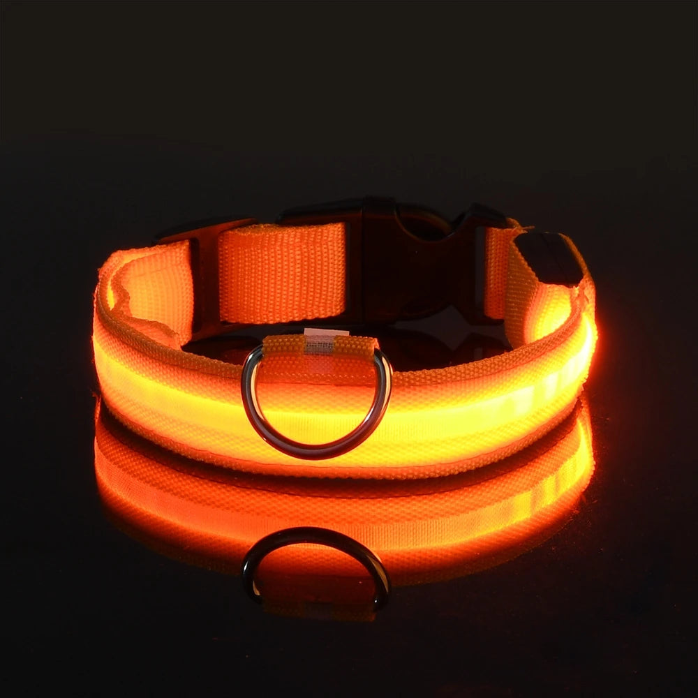 Nylon LED Hundehalsband – Fluoreszierende Leine für mehr Sicherheit bei Dunkelheit, ideal für nächtliche Spaziergänge