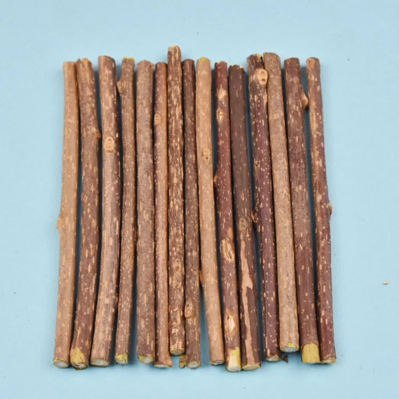 10/15/20 Stück Natürliche Katzen-Snack-Polygonum-Sticks – Molarstäbchen zur Zahnpflege & Beschäftigung für Katzen