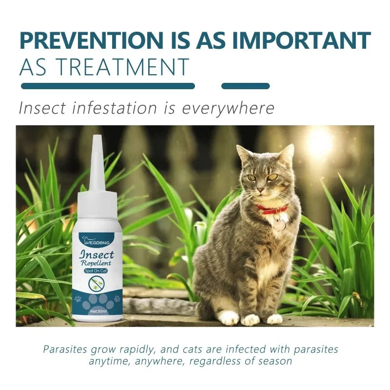 50 ml Haustier-Anti-Floh & Zecken Mittel – Für Katzen & Hunde, Extrakorporale Wurm- und Hautpflege