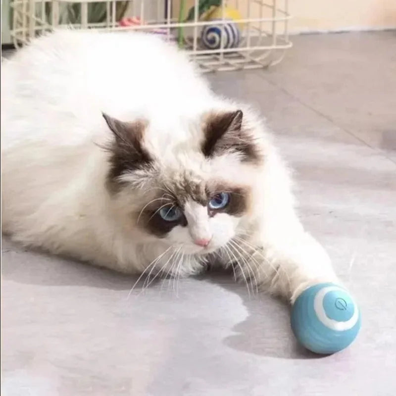 Selbstbewegende Elektrische Katzenbälle – Automatisch Rollende Smart-Spielzeuge für Katzen, Fördert Bewegung und Spaß, Ideal für Kätzchen-Training und Unterhaltung