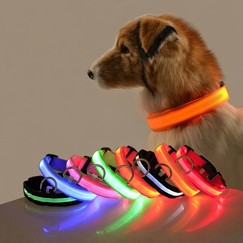 Nylon LED Hundehalsband – Fluoreszierende Leine für mehr Sicherheit bei Dunkelheit, ideal für nächtliche Spaziergänge