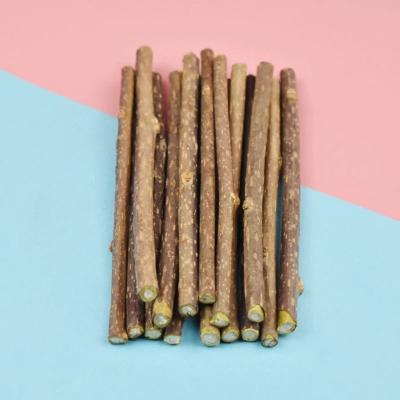 10/15/20 Stück Natürliche Katzen-Snack-Polygonum-Sticks – Molarstäbchen zur Zahnpflege & Beschäftigung für Katzen