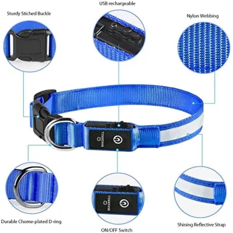 TOUA Choice LED Hundehalsband XS/M – USB Wiederaufladbar, Einstellbar, Mit Sicherheits- und Leuchtfunktion für Nachtspaziergänge