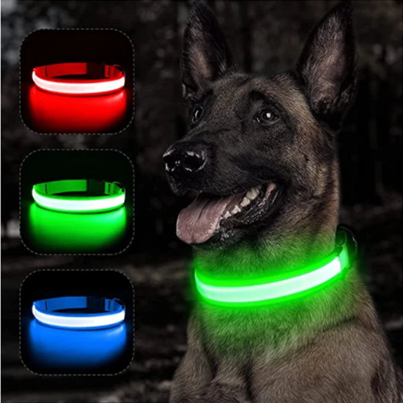 USB-Aufladbares Leucht-Halsband für Hunde & Katzen – Helles LED-Nacht-Sicherheitslicht mit abnehmbarem Anhänger