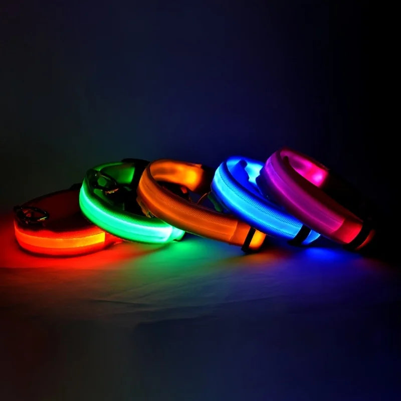 Nylon LED Hundehalsband – Fluoreszierende Leine für mehr Sicherheit bei Dunkelheit, ideal für nächtliche Spaziergänge