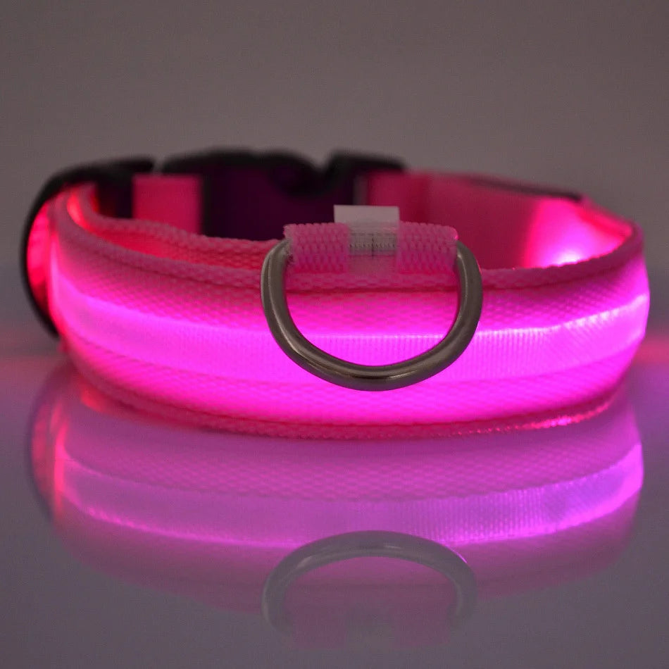 Nylon LED Hundehalsband – Fluoreszierende Leine für mehr Sicherheit bei Dunkelheit, ideal für nächtliche Spaziergänge