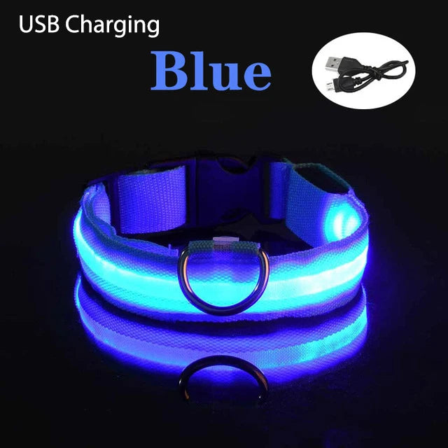 TOUA Choice LED Hundehalsband XS/M – USB Wiederaufladbar, Einstellbar, Mit Sicherheits- und Leuchtfunktion für Nachtspaziergänge