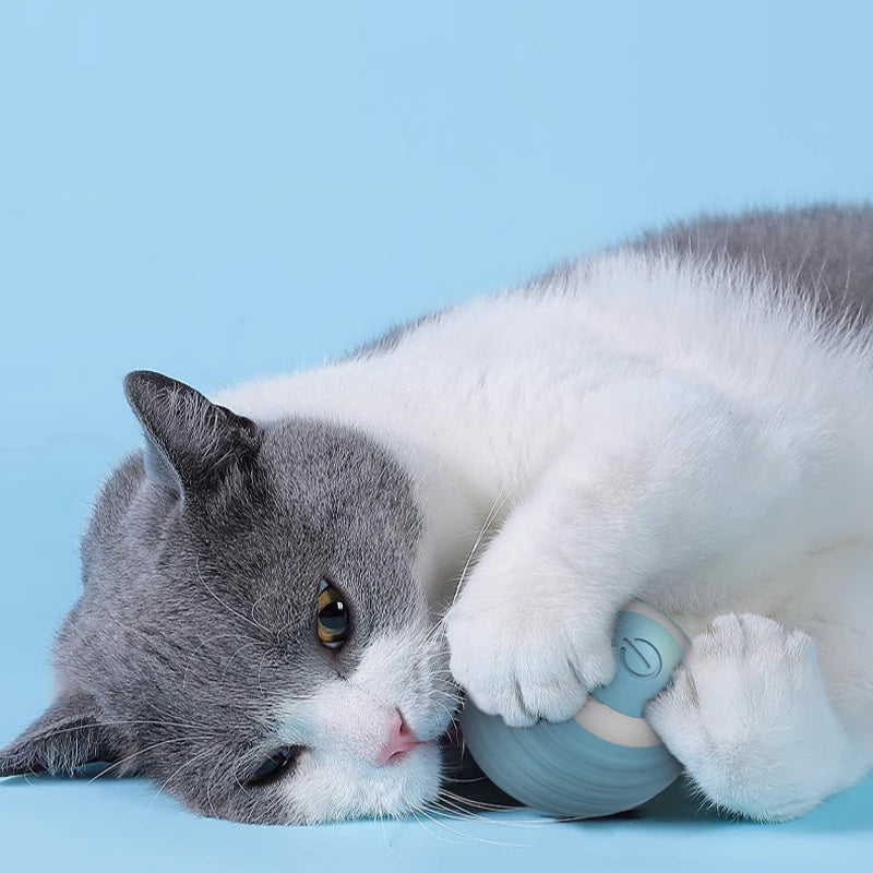 Selbstbewegende Elektrische Katzenbälle – Automatisch Rollende Smart-Spielzeuge für Katzen, Fördert Bewegung und Spaß, Ideal für Kätzchen-Training und Unterhaltung