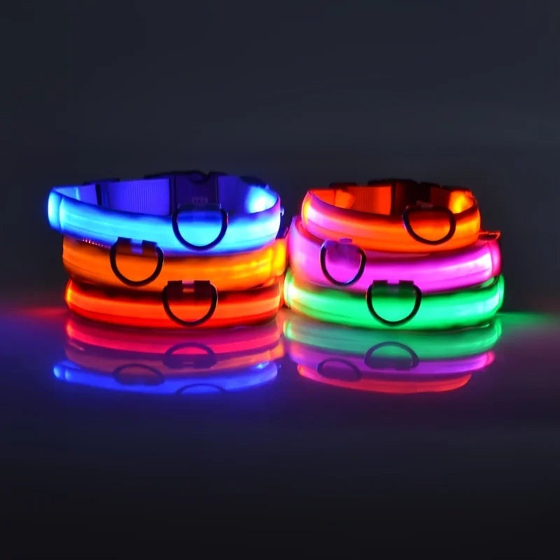 Nylon LED Hundehalsband – Fluoreszierende Leine für mehr Sicherheit bei Dunkelheit, ideal für nächtliche Spaziergänge