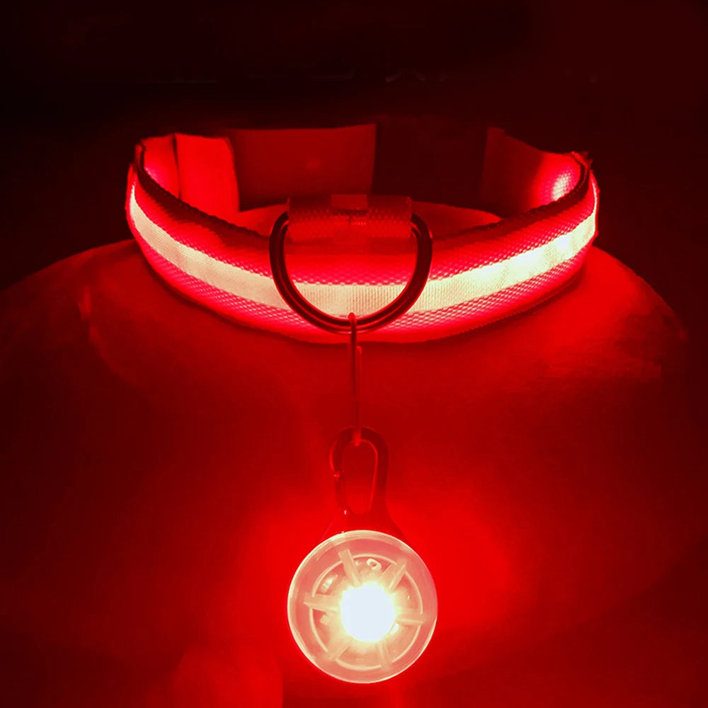 USB-Aufladbares Leucht-Halsband für Hunde & Katzen – Helles LED-Nacht-Sicherheitslicht mit abnehmbarem Anhänger