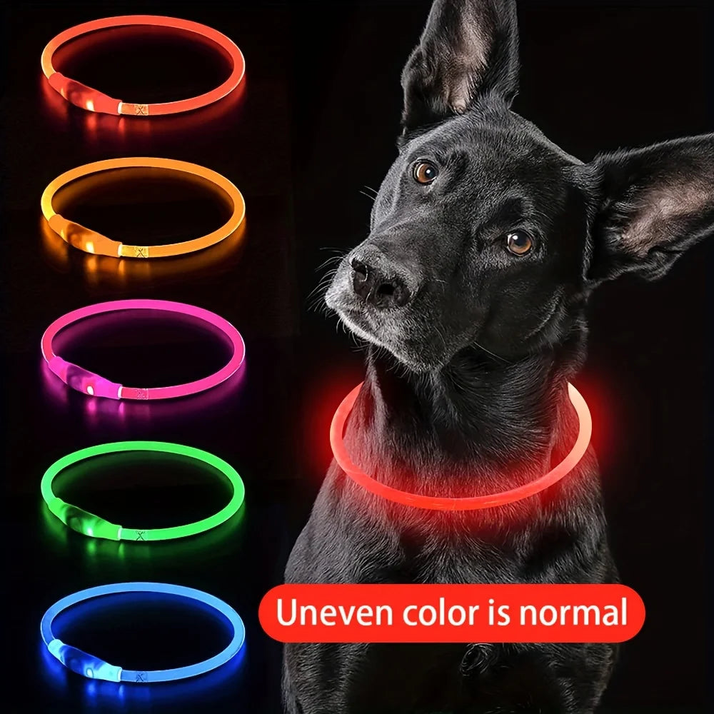 Wiederaufladbares LED Hundehalsband – Leuchtendes, Sicherheitsoptimiertes Halsband gegen Verlust für Ihren Hund