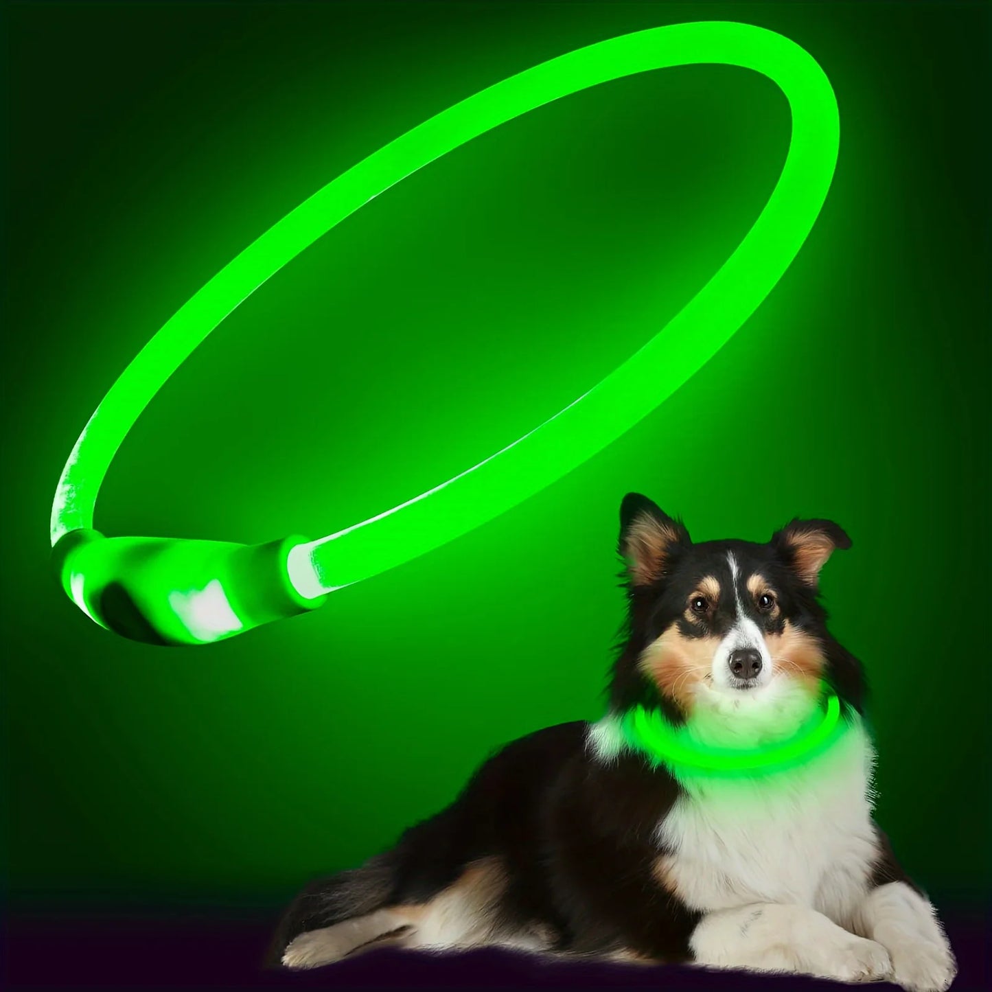 Wiederaufladbares LED Hundehalsband – Leuchtendes, Sicherheitsoptimiertes Halsband gegen Verlust für Ihren Hund