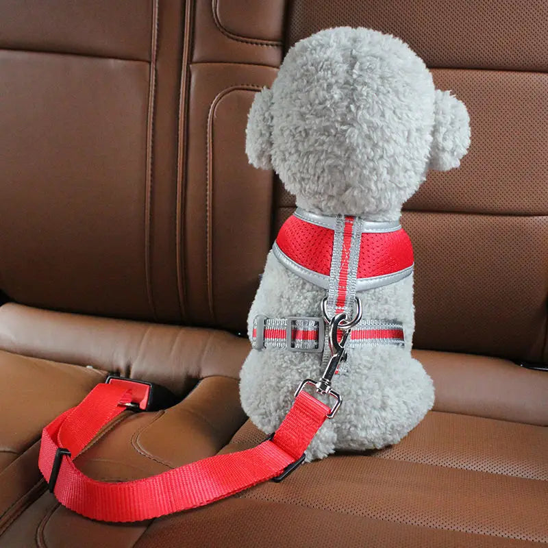 Hundesicherheitsgurt für Auto – Verstellbare Autoleine mit Halsband für Hunde, Reise-Sicherheitsgurt für Haustiere