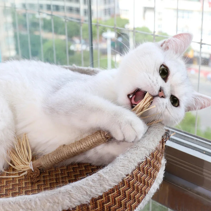 Natürlicher Katzen-Kaustab aus Silvervine, Polygonum & Hanfseil – Unterstützt die Zahnreinigung, reduziert Zahnstein & sorgt für langanhaltenden Spielspaß