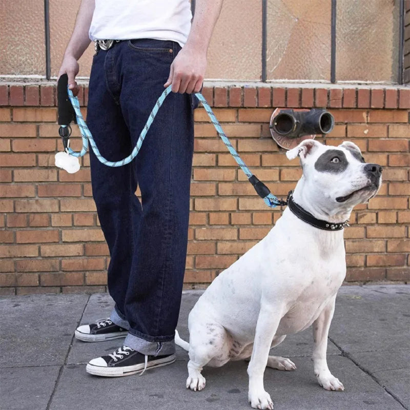Extra Stabile Hundeleine mit Weichem Griff – 120/150/200/300 cm, Perfekt für Starke Hunde, Komfortabel & Sicher