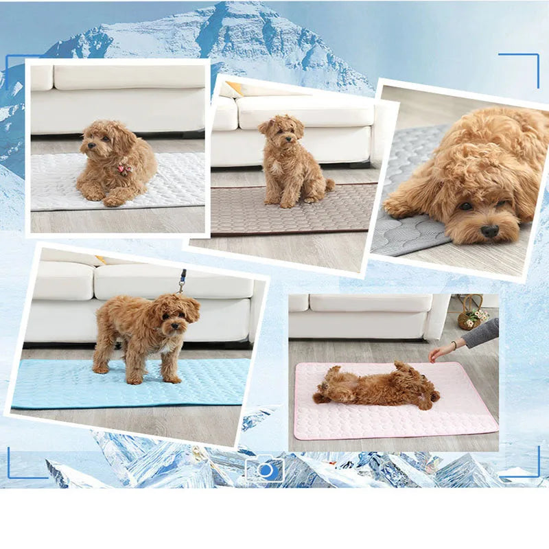 Erfrischende Kühlmatte für Hunde und Katzen – Sommerliche Pet Mat für kühle Entspannung, atmungsaktiv, waschbar und ideal für Sofa und Bett