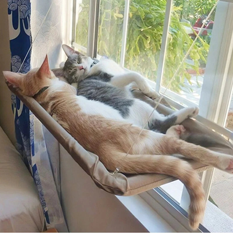 Luftige Katzenhängematte – Hängendes Katzenbett für Ihre geliebte Katze, ideal als Kletterrahmen und sonniger Fensterplatz, tragfähig bis 20 kg, perfektes Zubehör für Haustiere