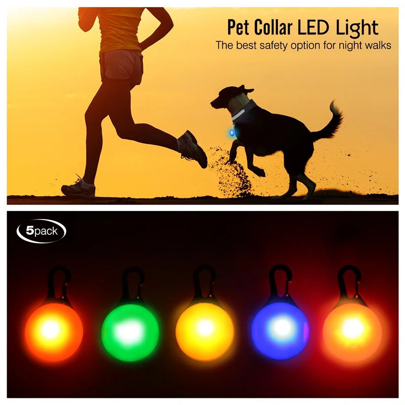 USB-Aufladbares Leucht-Halsband für Hunde & Katzen – Helles LED-Nacht-Sicherheitslicht mit abnehmbarem Anhänger