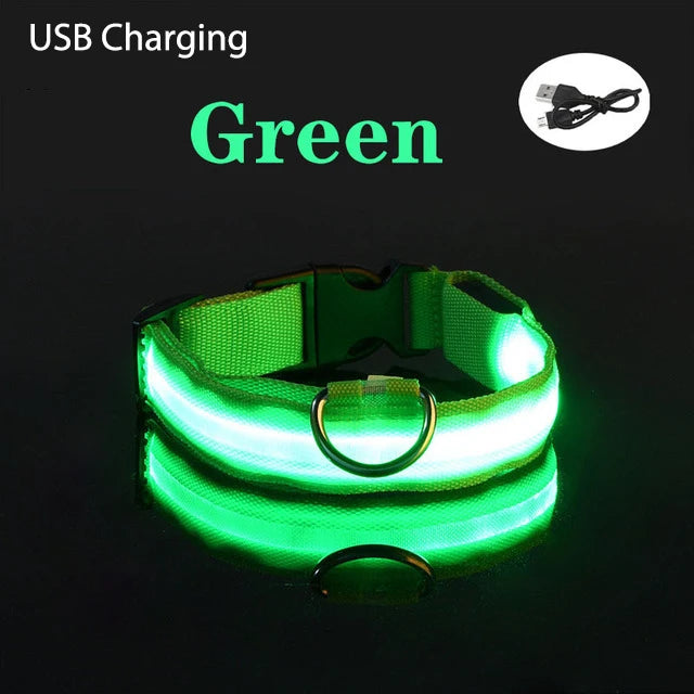 TOUA Choice LED Hundehalsband XS/M – USB Wiederaufladbar, Einstellbar, Mit Sicherheits- und Leuchtfunktion für Nachtspaziergänge
