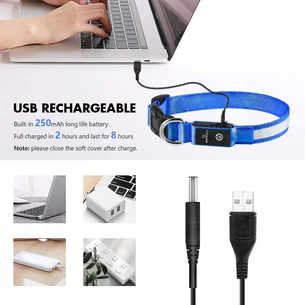 TOUA Choice LED Hundehalsband XS/M – USB Wiederaufladbar, Einstellbar, Mit Sicherheits- und Leuchtfunktion für Nachtspaziergänge