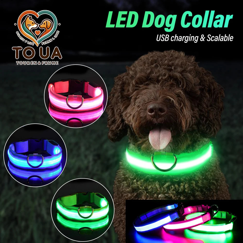 TOUA Choice LED Hundehalsband XS/M – USB Wiederaufladbar, Einstellbar, Mit Sicherheits- und Leuchtfunktion für Nachtspaziergänge