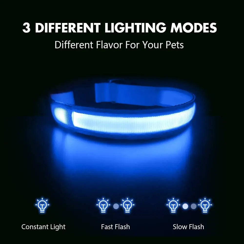 TOUA Choice LED Hundehalsband XS/M – USB Wiederaufladbar, Einstellbar, Mit Sicherheits- und Leuchtfunktion für Nachtspaziergänge