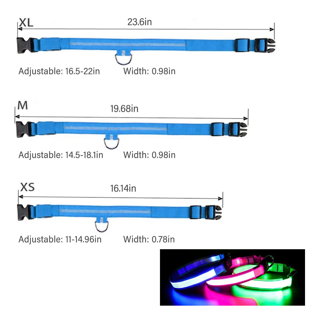TOUA Choice LED Hundehalsband XS/M – USB Wiederaufladbar, Einstellbar, Mit Sicherheits- und Leuchtfunktion für Nachtspaziergänge