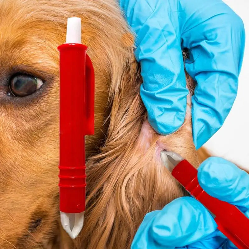 4-teiliges Zeckenentferner-Set – Mit Pinzette, Floh- & Läusekamm, Für Hunde, Katzen, Pferde & Menschen