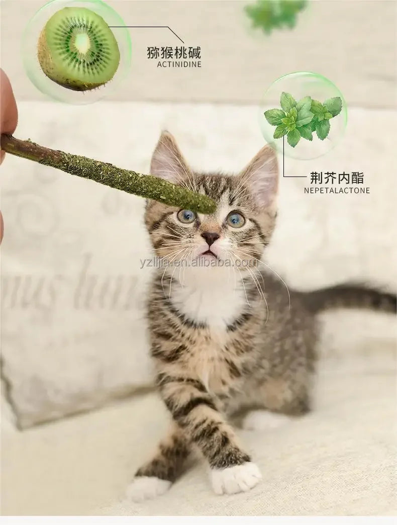 Katzen-Kausticks mit Matatabi & Silvervine – 6er-Set für Zahnpflege, Beruhigung & natürlichen Spielspaß