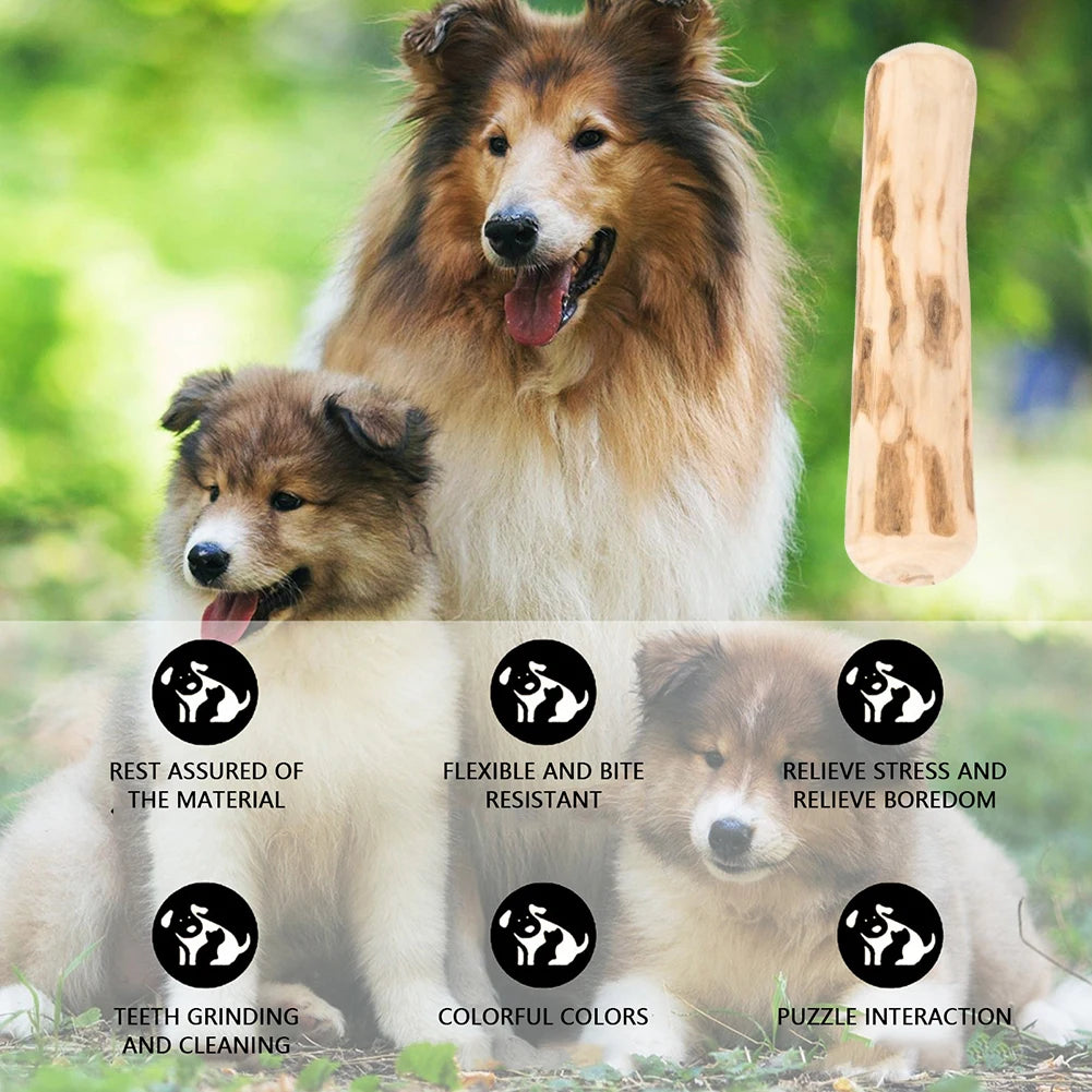 Natürlicher Kaffeebaumholz-Kaustab für Hunde – Bissfestes Kauspielzeug zur Zahnpflege & Beruhigung