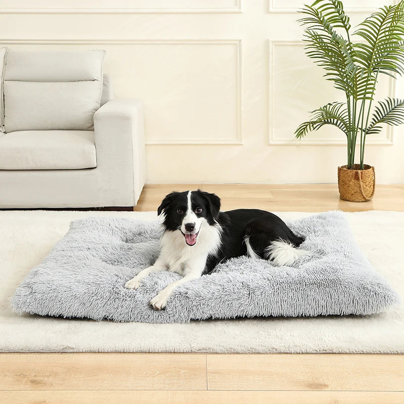 Weiches Hundebett mit extra langem Plüsch – Gemütliches Haustierbett für Hunde & Katzen, ideal für tiefen Schlaf & Geborgenheit
