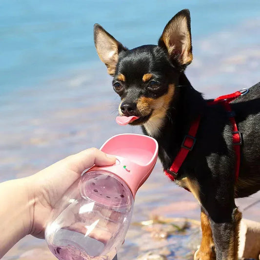 350ml/550ml Tragbare Hundewasserflasche mit Schüssel – Ideal für Outdoor-Spaziergänge, Reisen und für Haustiere, einschließlich Katzen, Wasserflasche für Hunde und Welpen