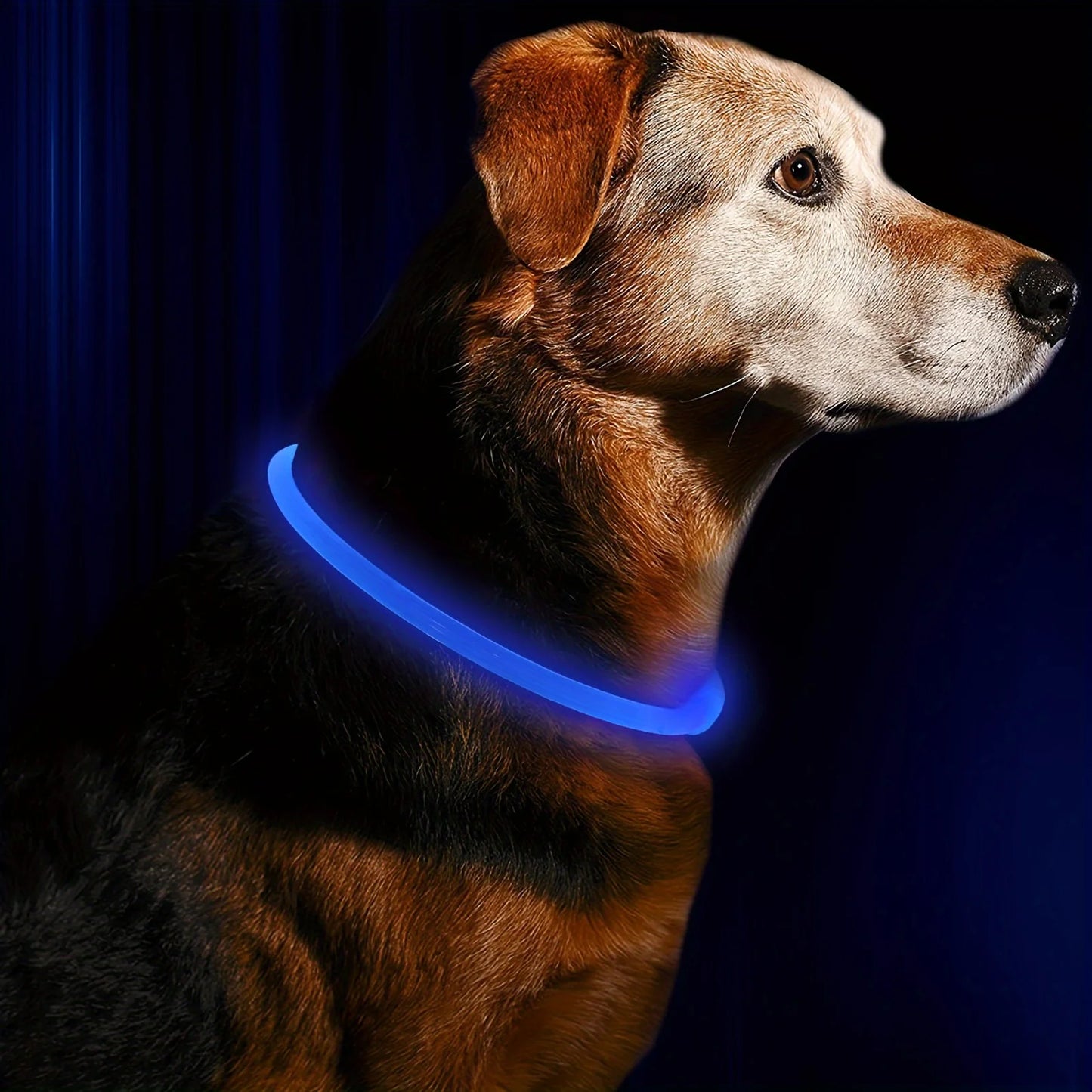 Wiederaufladbares LED Hundehalsband – Leuchtendes, Sicherheitsoptimiertes Halsband gegen Verlust für Ihren Hund