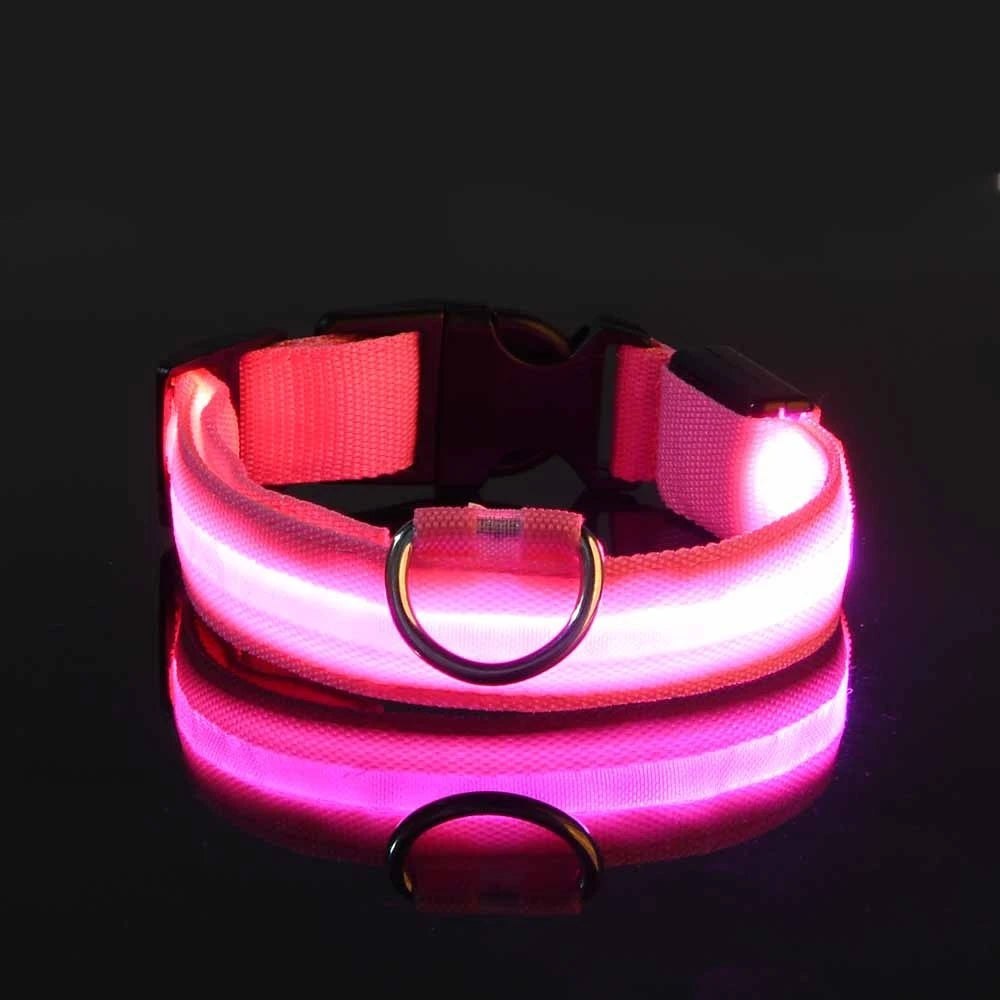 Nylon LED Hundehalsband – Fluoreszierende Leine für mehr Sicherheit bei Dunkelheit, ideal für nächtliche Spaziergänge
