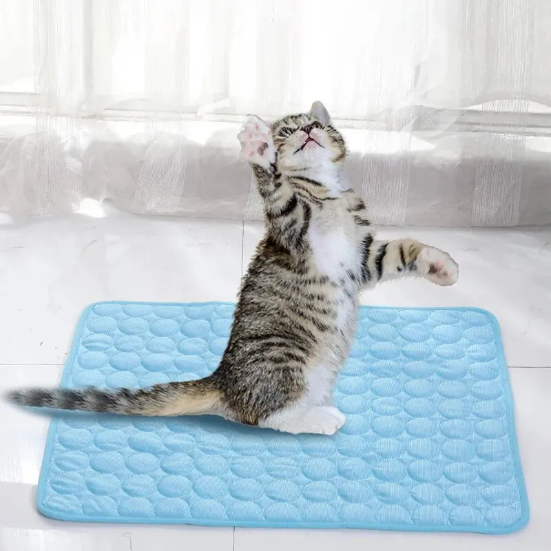 Kühlmatte für Haustiere – Sommerliche Eis-Matte mit Kühlfunktion für Katzen und Hunde, sorgt für angenehme Abkühlung auf dem Sofa und Bett